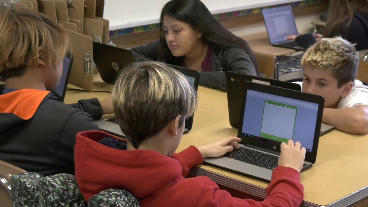 Differentiated Teaching Strategies in the Middle Schools