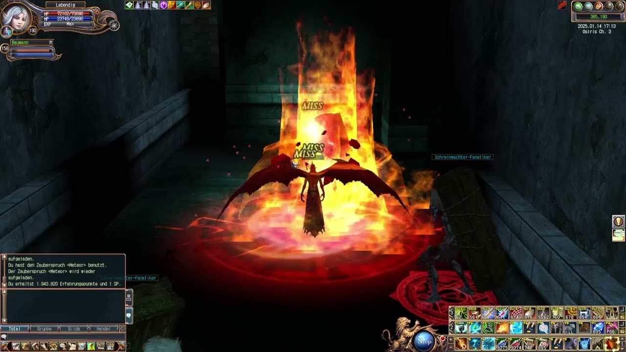 Last Chaos Fawkes - Do you know where Mad Archbishop Martin is?