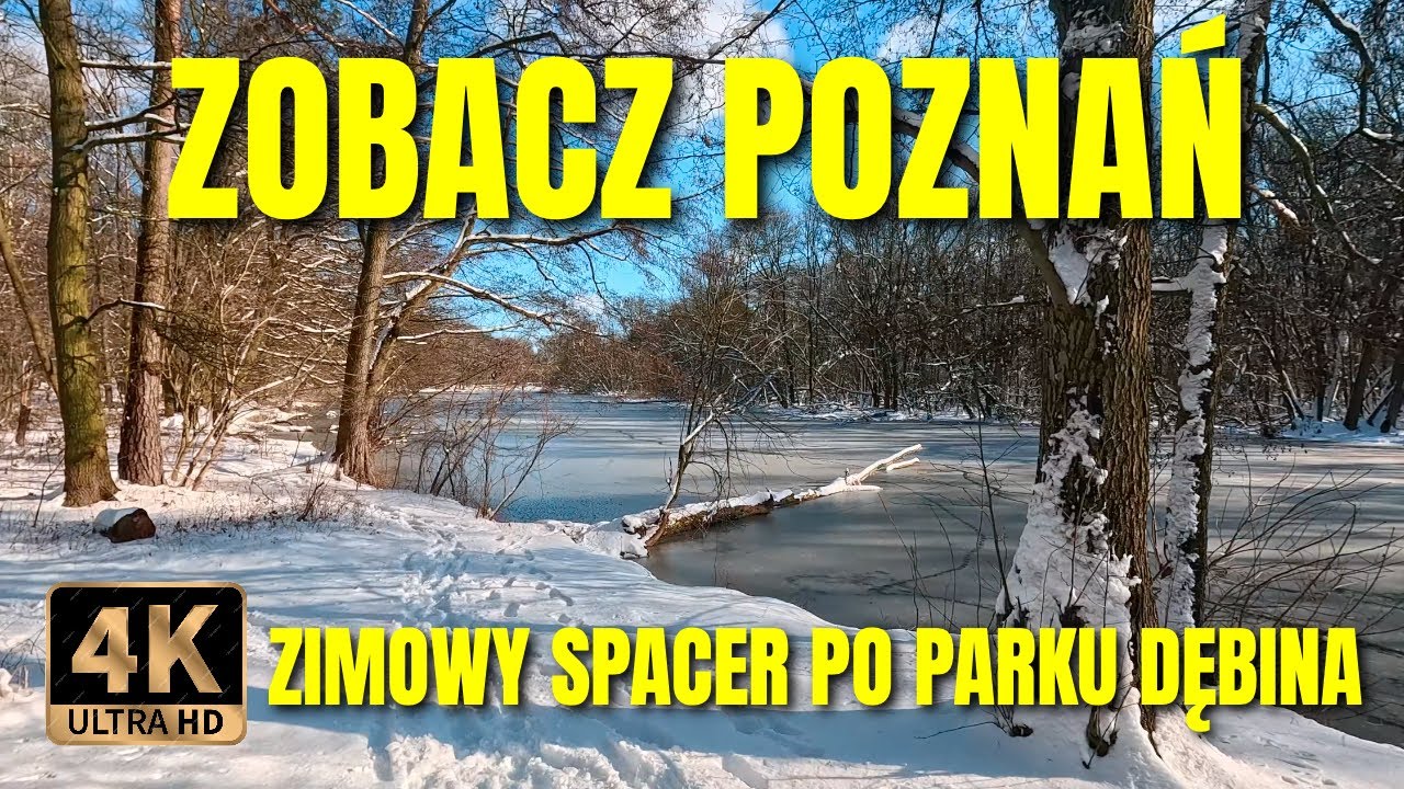 [4k] Zimowy Spacer po Parku Dębina, Poznań
