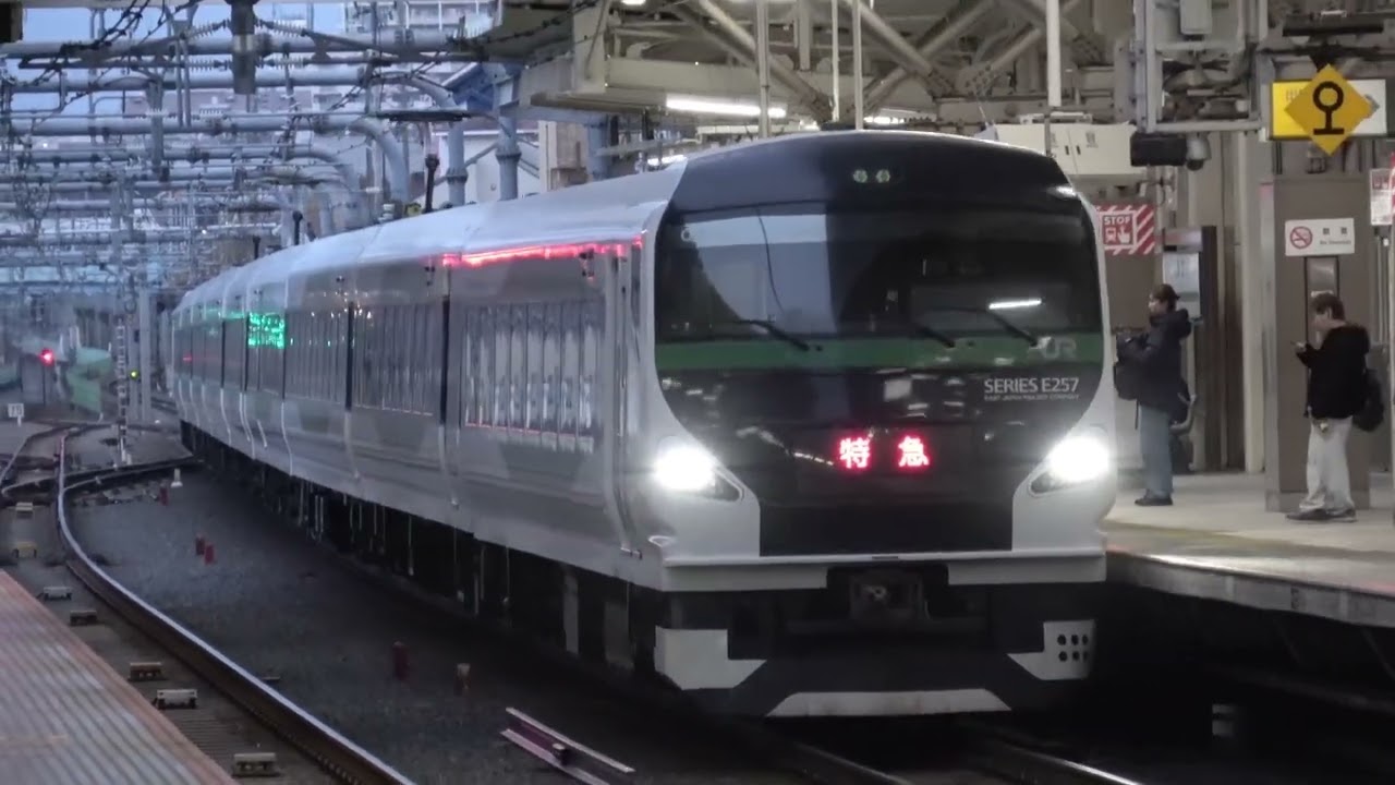 【2024/1/7】E257系5000番台OM-53編成 特急成田山初詣八王子号 国立駅通過シーン