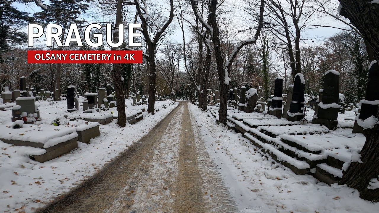 Prague Cemetery walking tour - A walk through Olšany Cemetery on a snowy morning | 4K