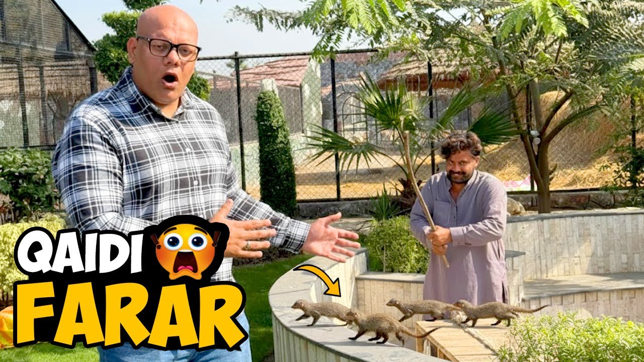 Balu Jail Se Farar😱 | Sare Nolu Bhag Gaye😭 | BT Farm Stories
