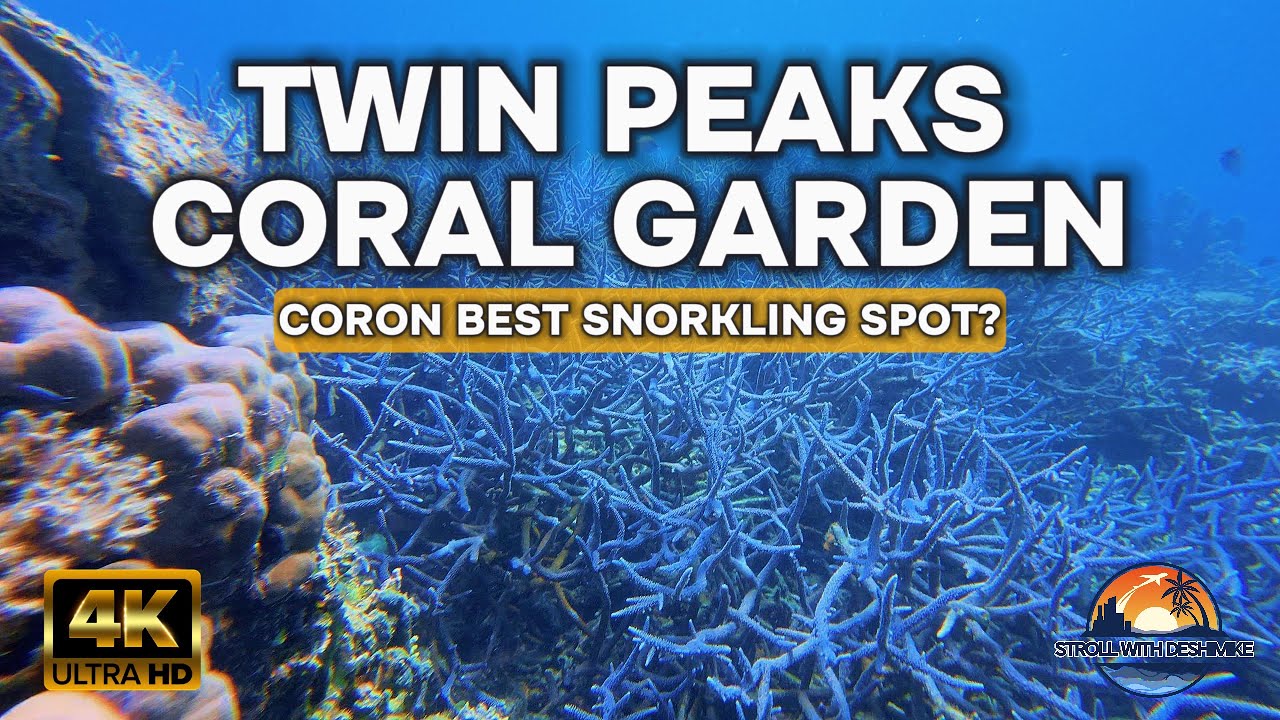 Exploring TWIN PEAKS & CORAL GARDEN &ndash; Snorkeling Paradise in Coron, Palawan!