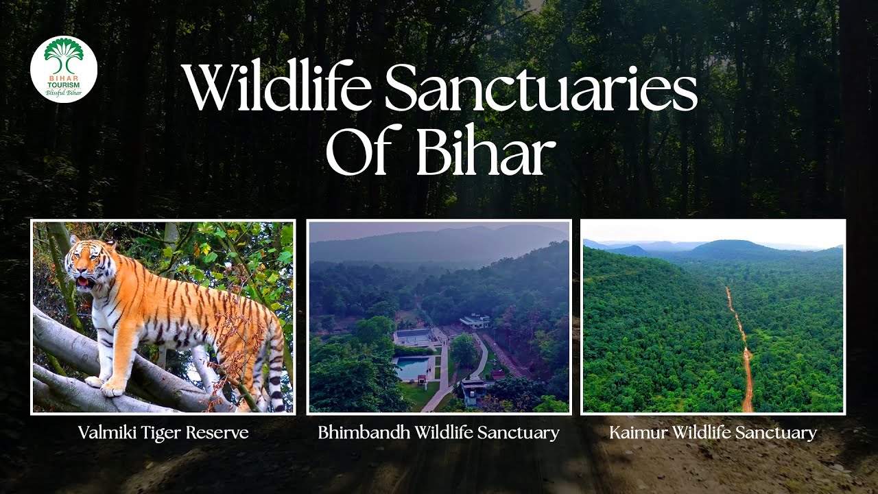 Explore Wildlife Sanctuaries of Bihar | VTR | Kaimur & Bhimbandh Wildlife Sanctuary | Bihar Tourism