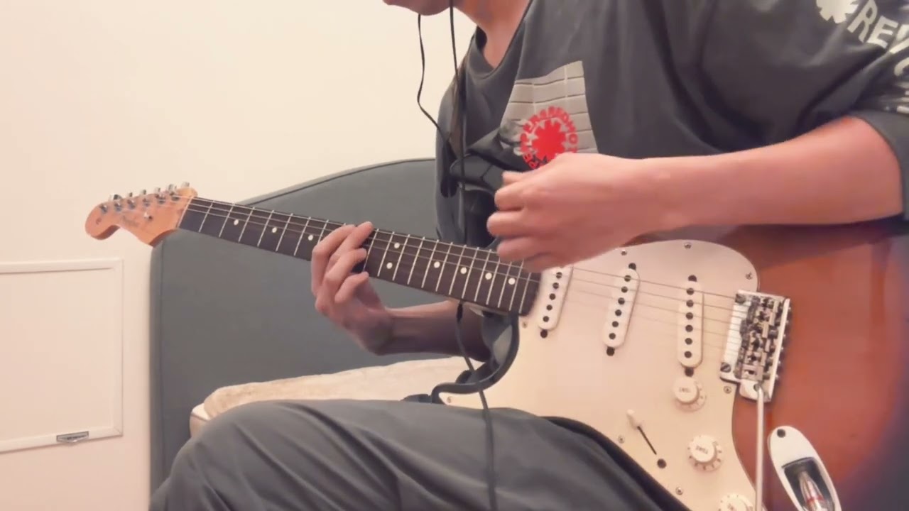 Red Hot Chili Peppers - Live at Slane Castle (Full Guitar Cover)