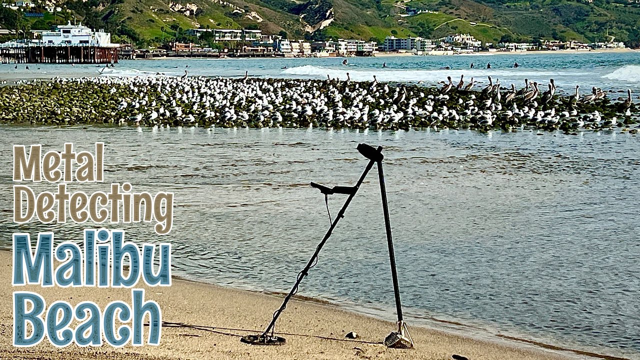 Followed Home after Beach Metal Detecting - Minelab Equinox 900