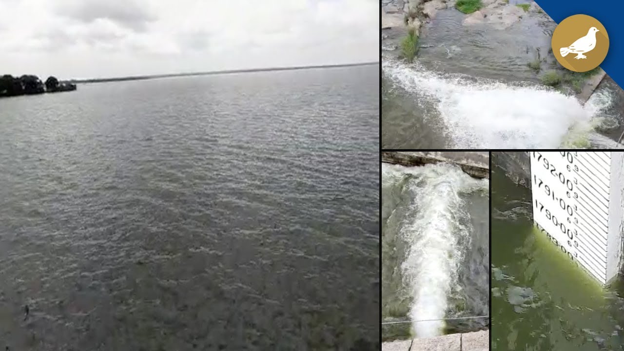Hyderabad: Osman Sagar (Gandipet) gates lifted