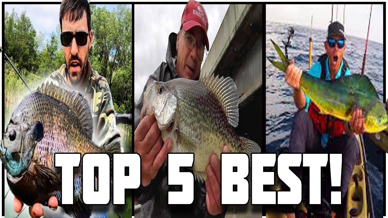 Top 5 BEST YouTube FISHING Channels ! (In My Opinion)