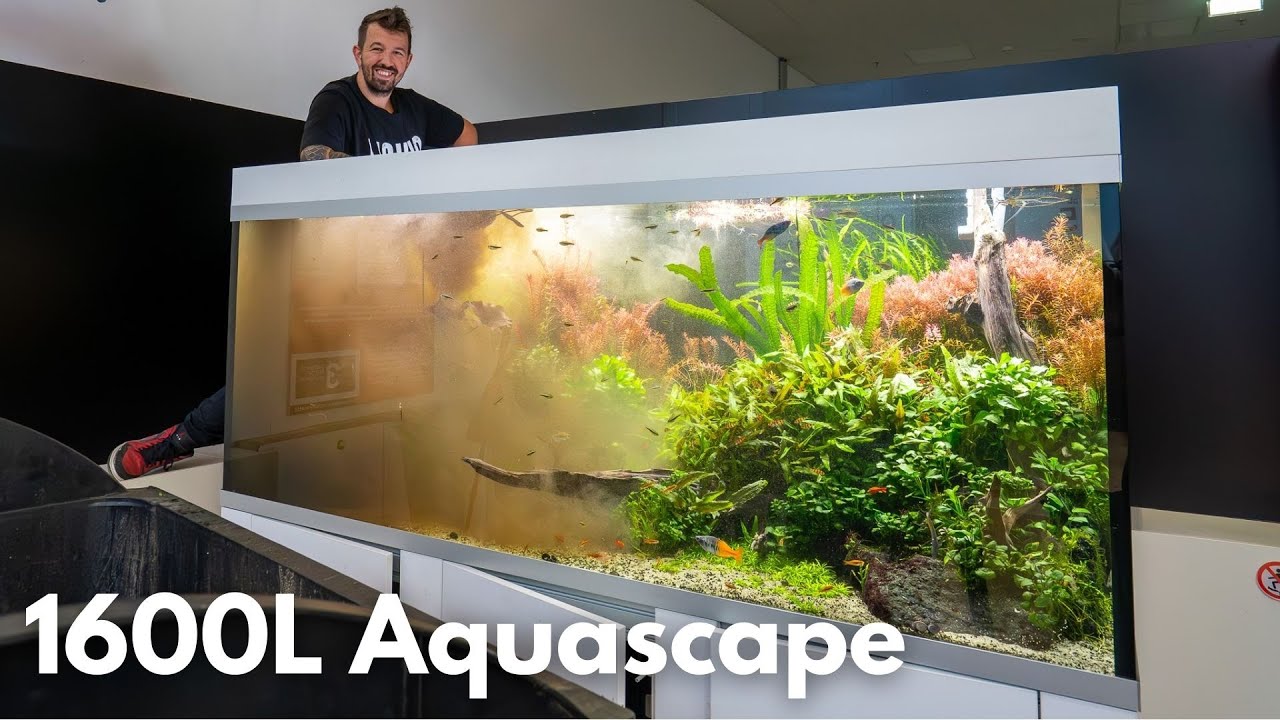 Das größte Aquascape in Österreich muss abgebaut werden!