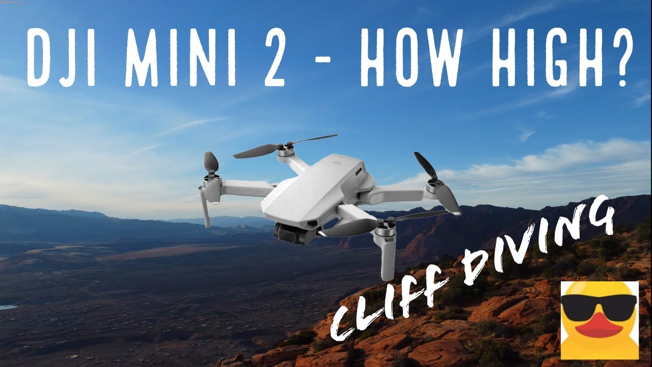 Cliff Diving with the DJI Mini 2 - How High Can it Go? - Plus + Finding New Friends.