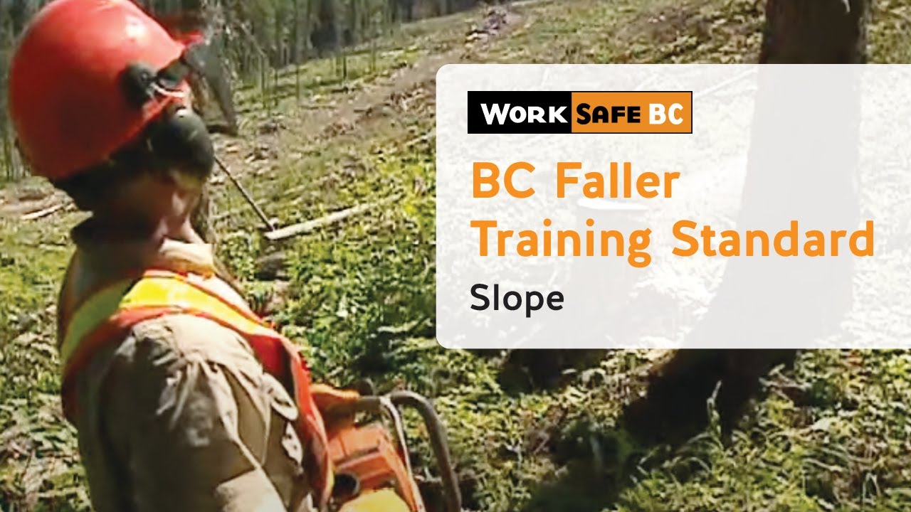 BC Faller Training Standard - Slope (11 of 17)