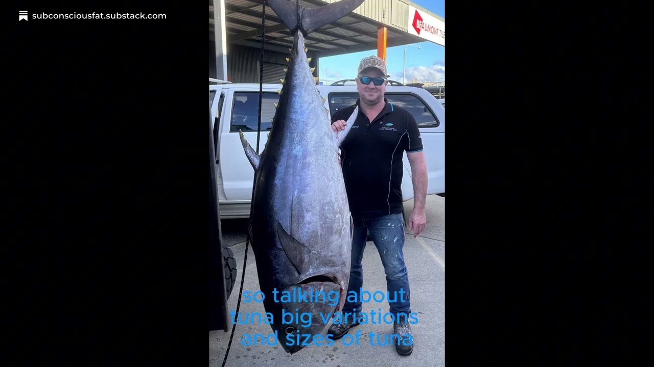 Big fish, bigger problems