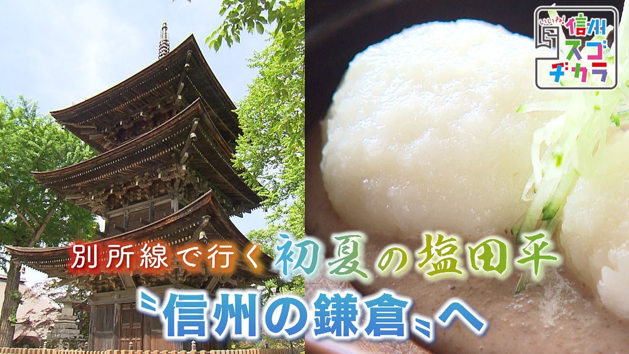 “信州の鎌倉”へ / 別所線で行く 初夏の塩田平③（いいね！信州スゴヂカラ 2021年6月26日）