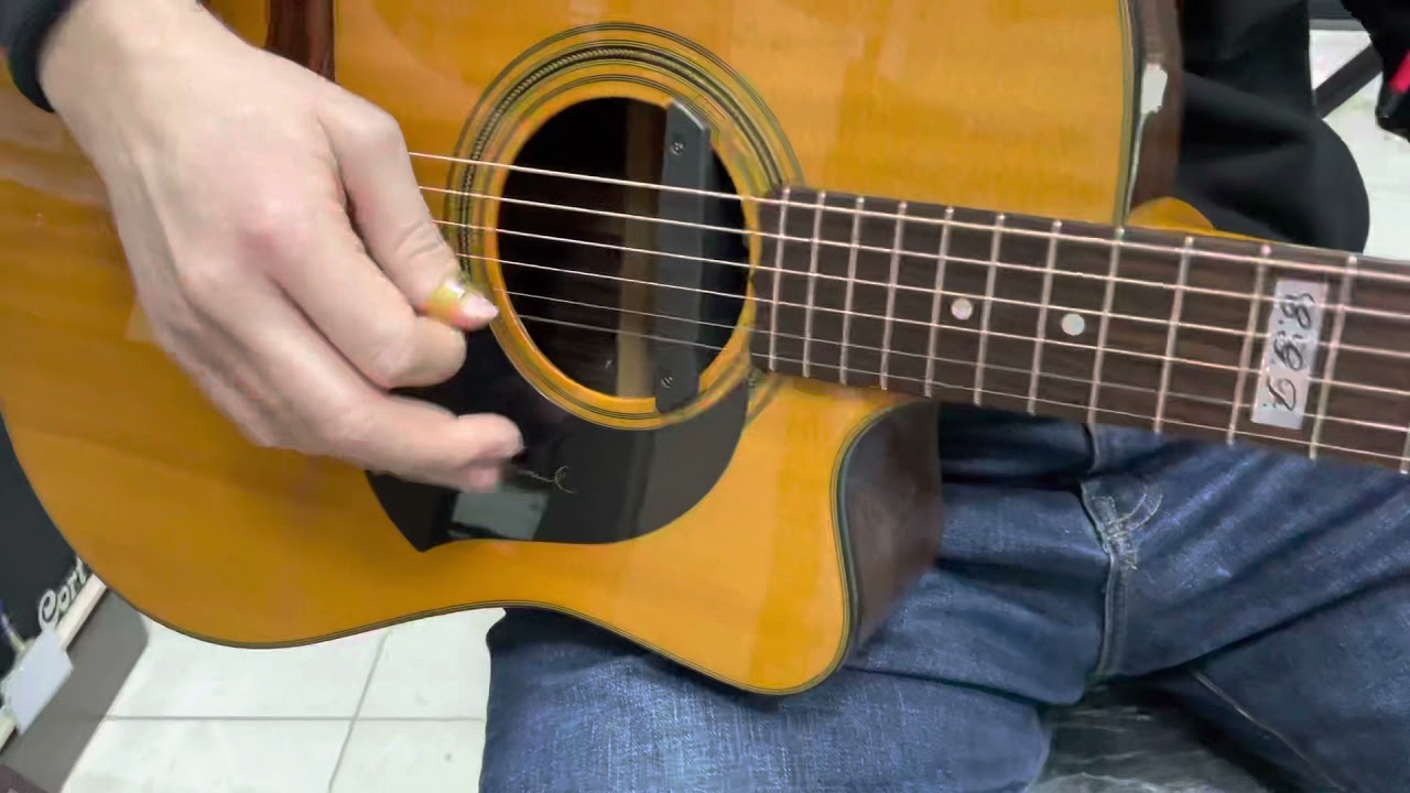 Maton TE1