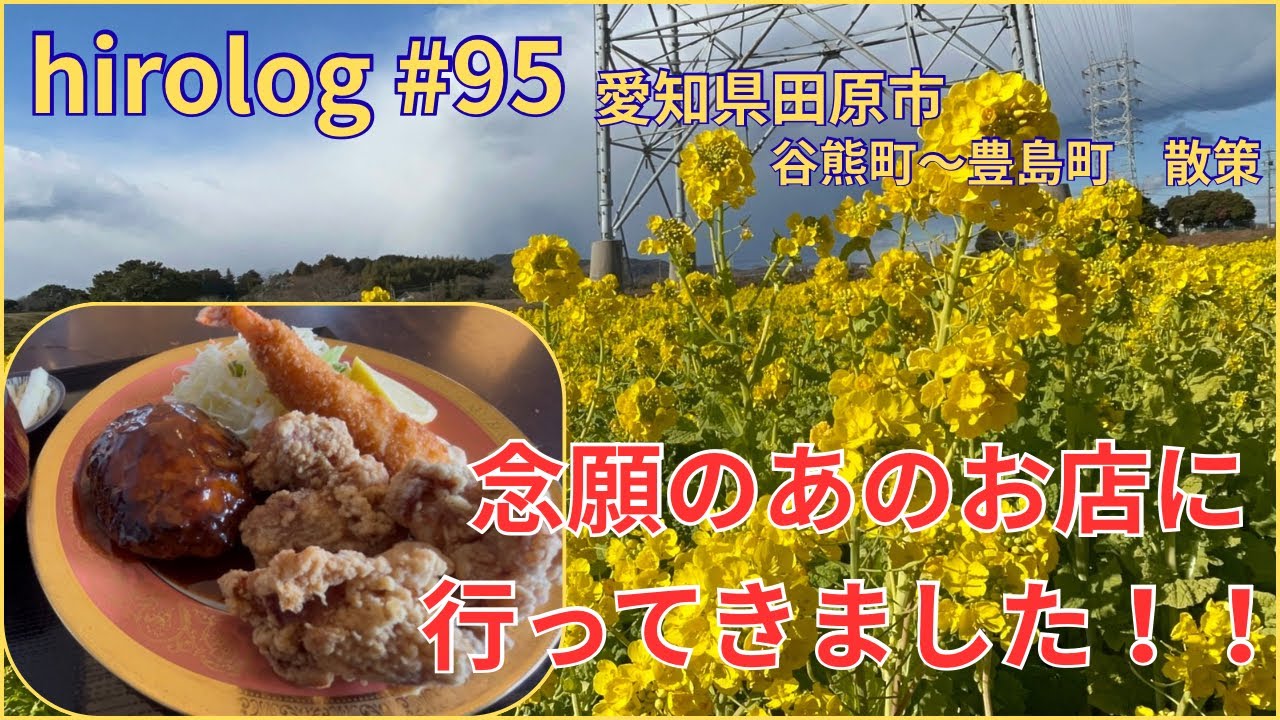 hirolog#95    愛知県田原市、菜の花畑と地元のワンパクな定食屋さんを堪能