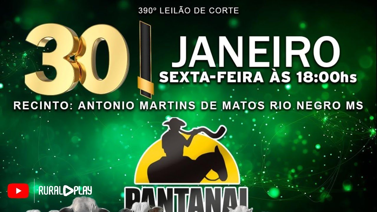 390° LEILÃO DE CORTE PANTANAL LEILÕES - RIO NEGRO/MS - RURAL PLAY