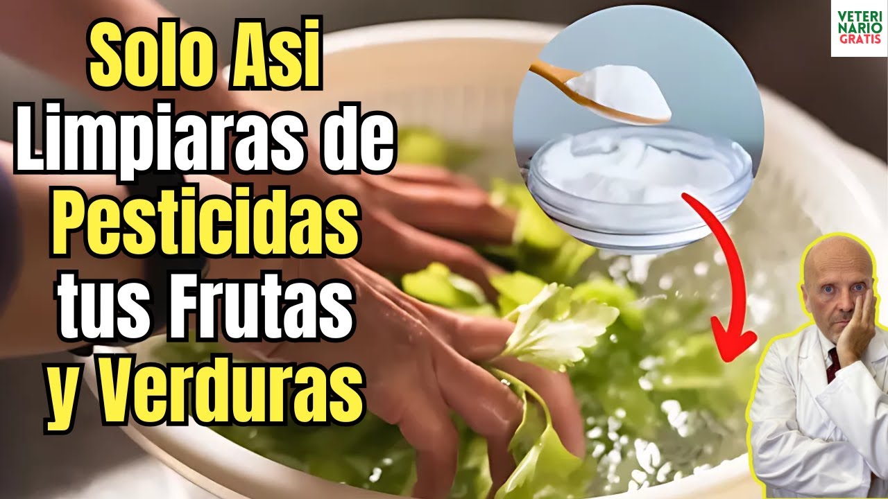 🍏🚿 ¿CÓMO LIMPIAR CORRECTAMENTE FRUTAS Y VERDURAS DE PESTICIDAS E INSECTICIDAS? 🚨🍓