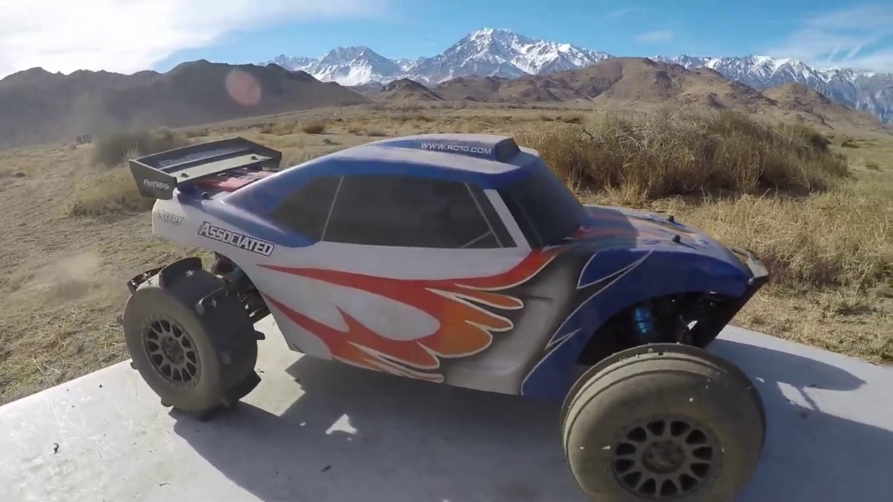 Team Associated Reflex DB10 Paddle Tire Limited Edition!:First run and specs Beer Cheers RC Crawlers
