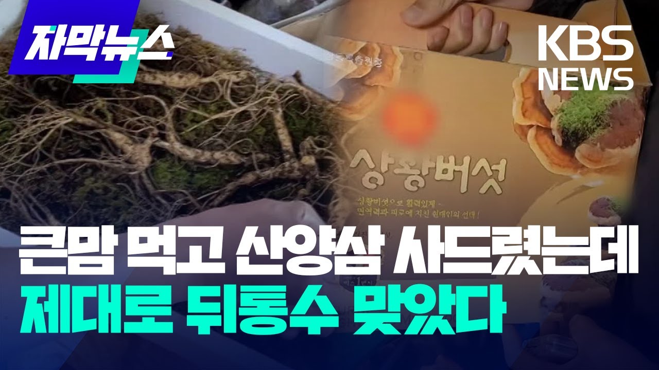 [자막뉴스] 큰맘 먹고 산양삼 사드렸는데, 제대로 뒤통수 맞았다 / KBS 2023.05.14.