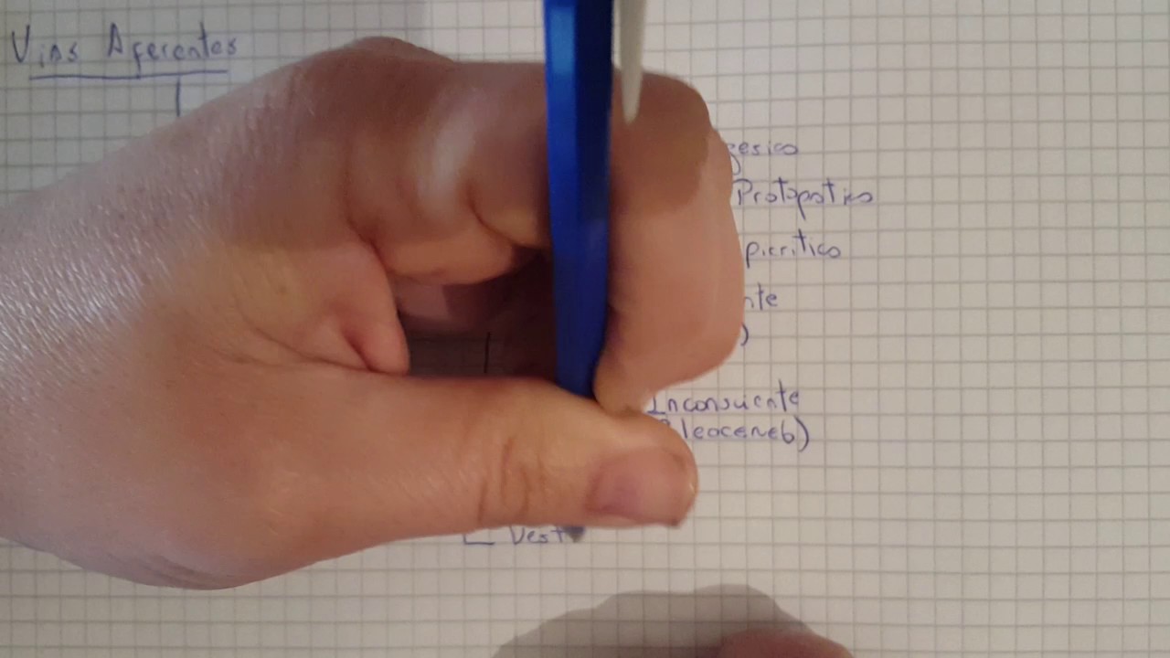 Generalidades de Vias de Conduccion 2° parte