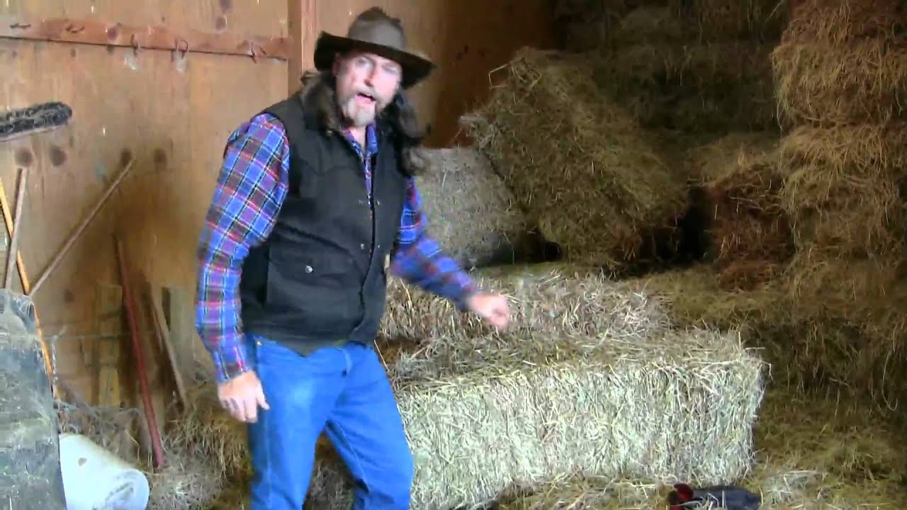 What is a good , safe square bale of hay ?  stall13.com videos