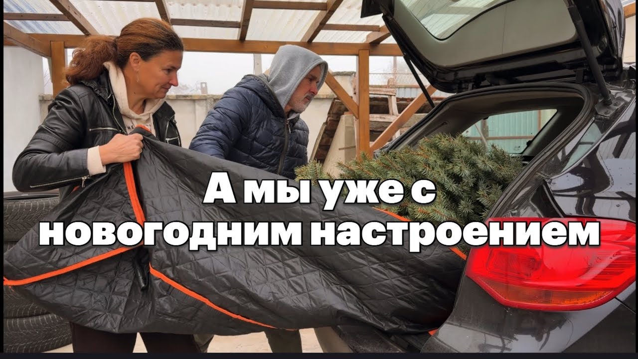 Семейный день: ёлка, ремонт и уют в доме #жизньвсербии #домвсербии #ремонтвдоме #своимируками #top 