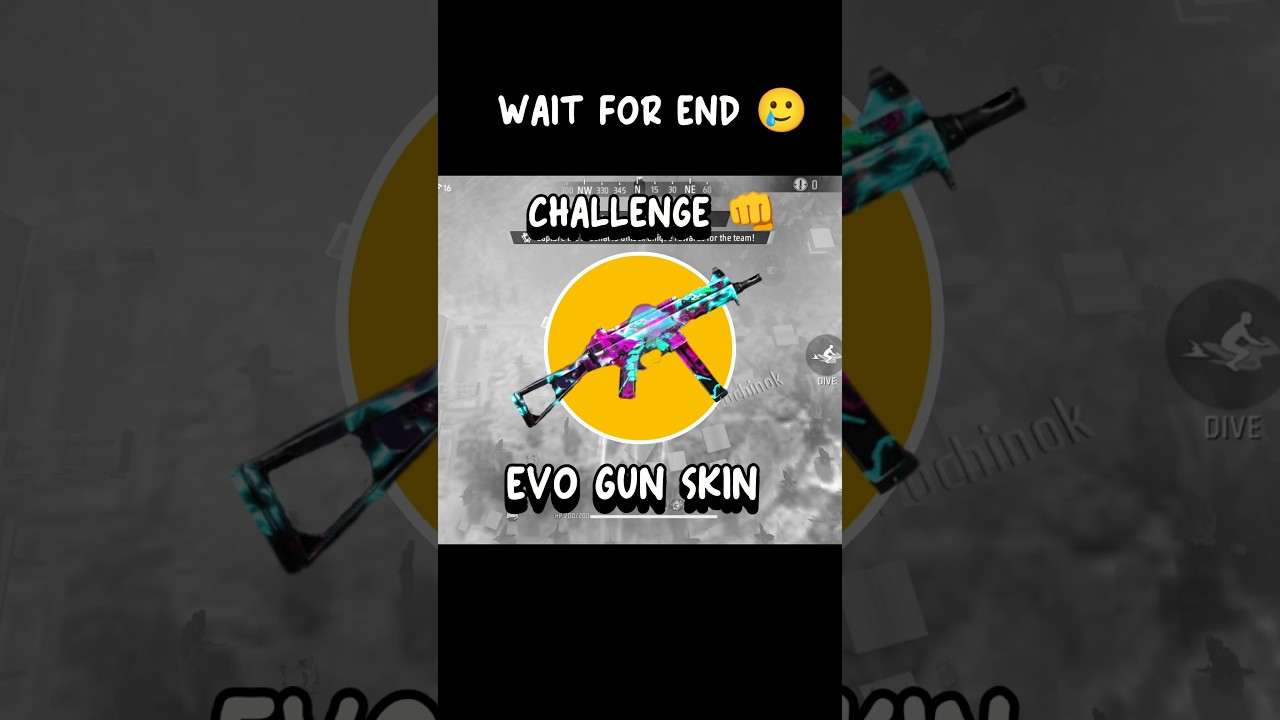 FIRST EVO GUN SKIN CHALLENGE 🤔
