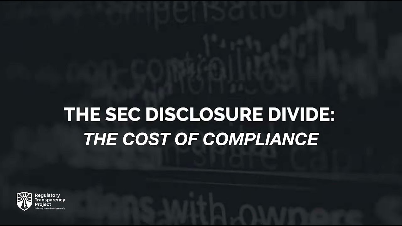 The SEC Disclosure Divide: The Cost of Compliance