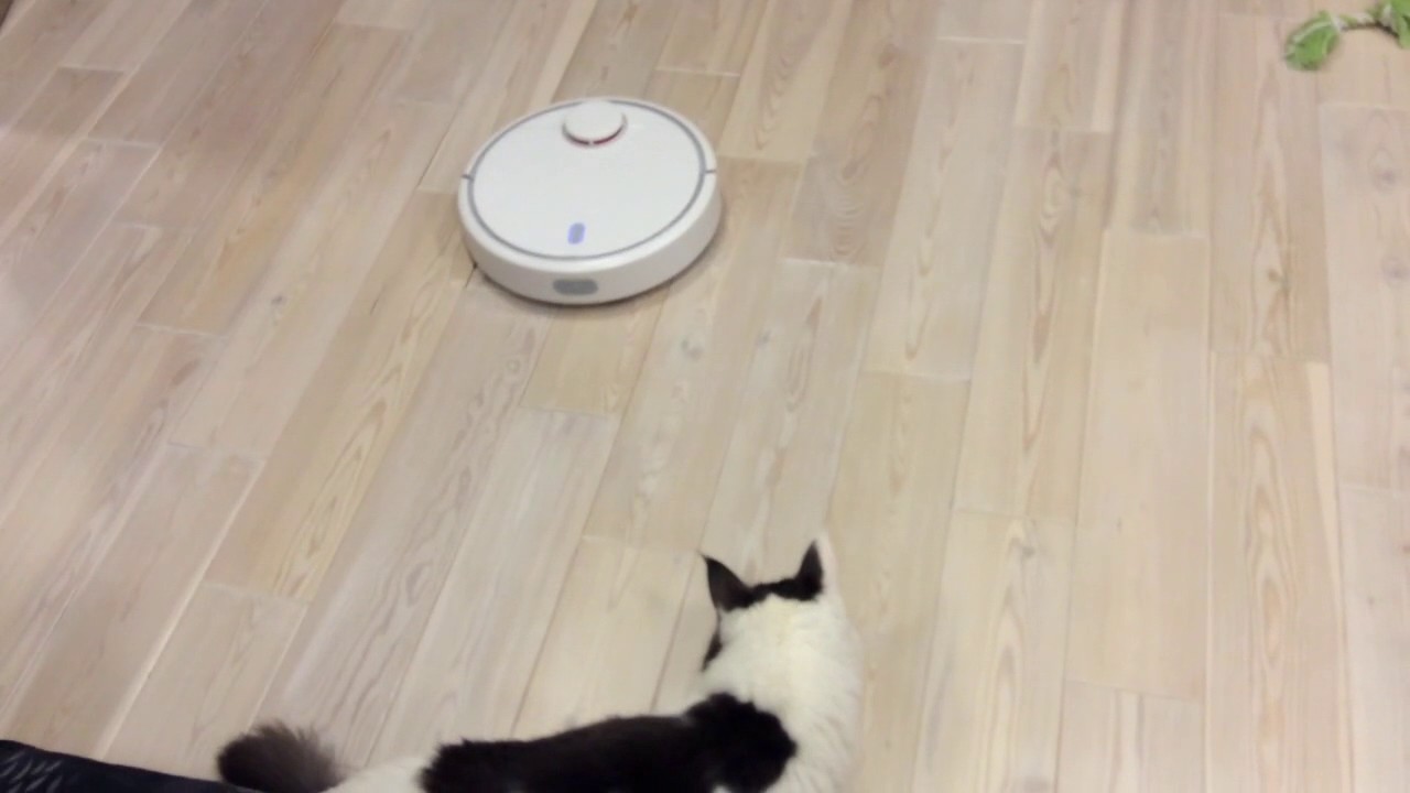 Xiaomi vacuum bot & Jorick (2)
