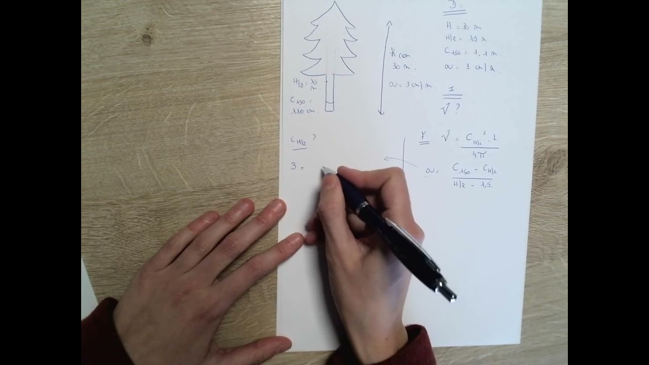Dendrom&eacute;trie - cubage d'un &eacute;pic&eacute;a &agrave; partir de la C150