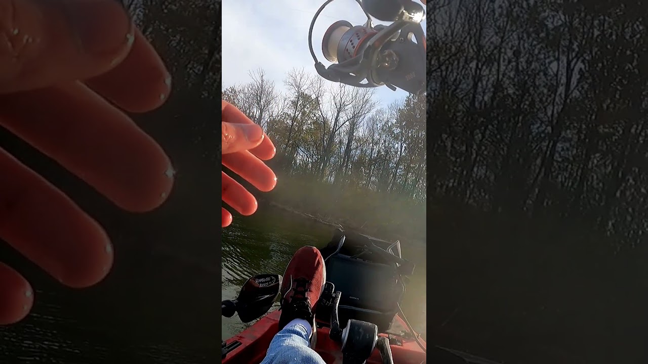 Honestly, this is such an underrated fish. #Red Camo Crossing