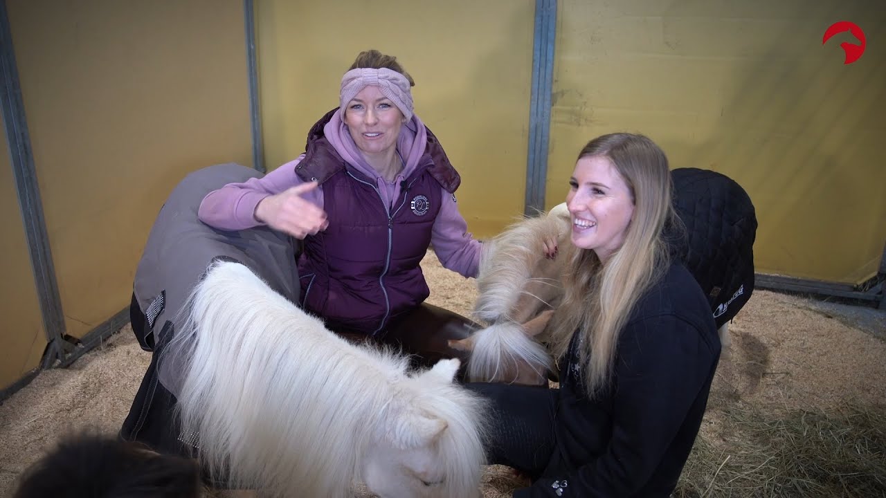 Pferd & Jagd 2023 | ClipMyHorse.TV - Stallgeflüster mit Annica Hansen | Folge 2