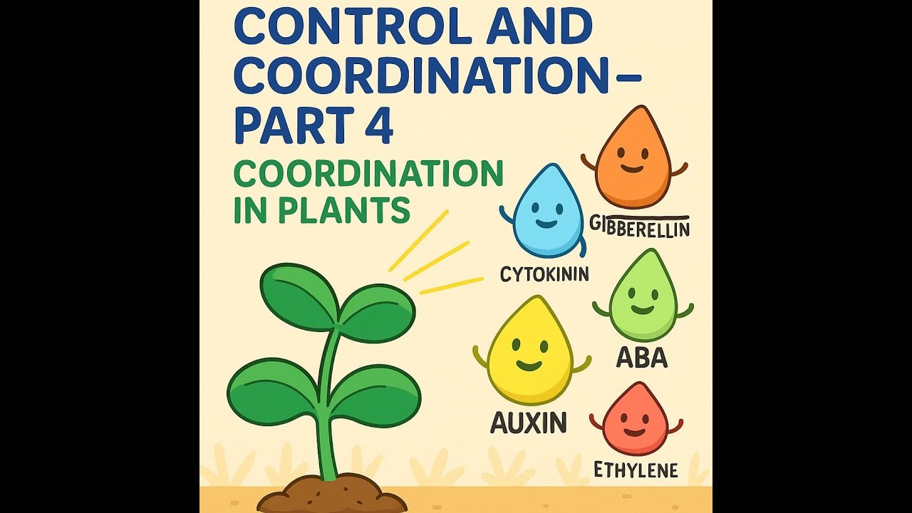 Control & Coordination - Part 4 | Tropic Movements & Plant Hormones | Class 10 Science | Q&A