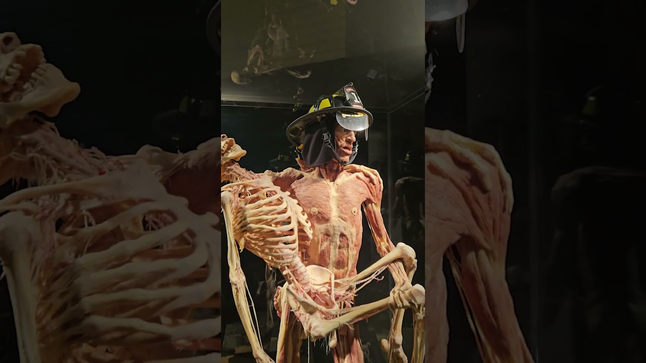 Body Worlds Exposition | Bucharest