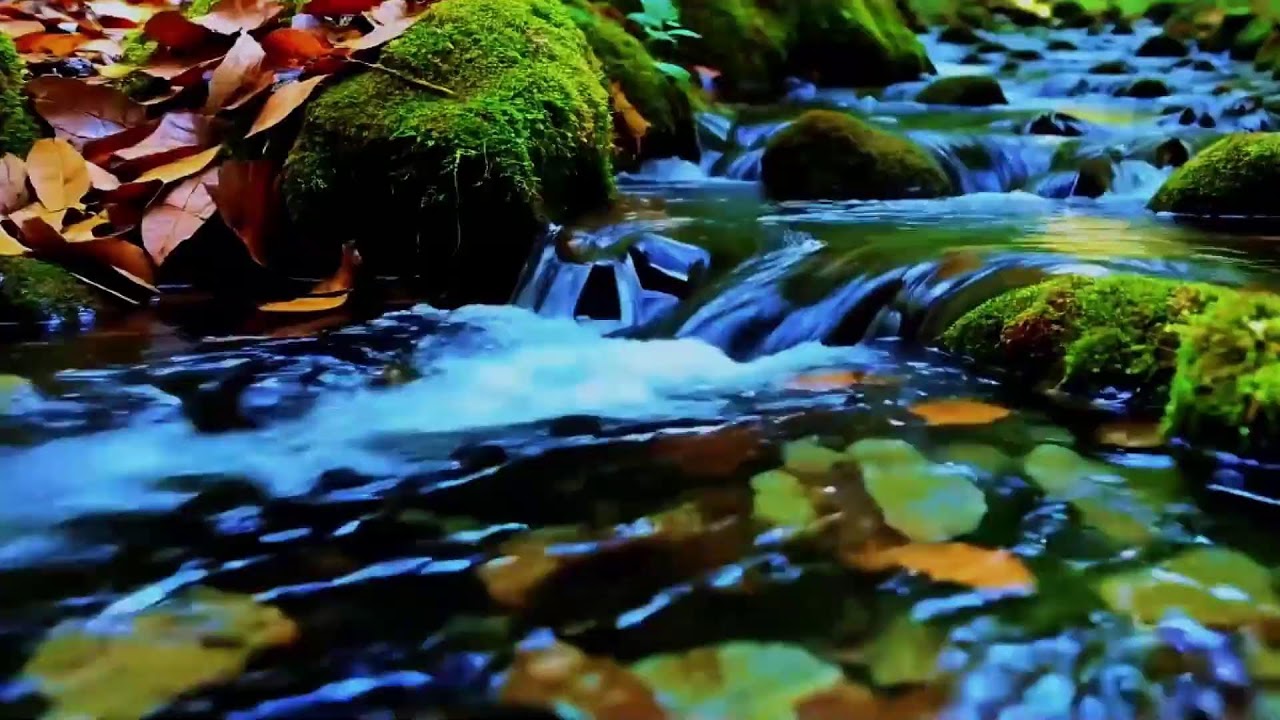 Natural Water Stream with Birdsong Ambience for Work