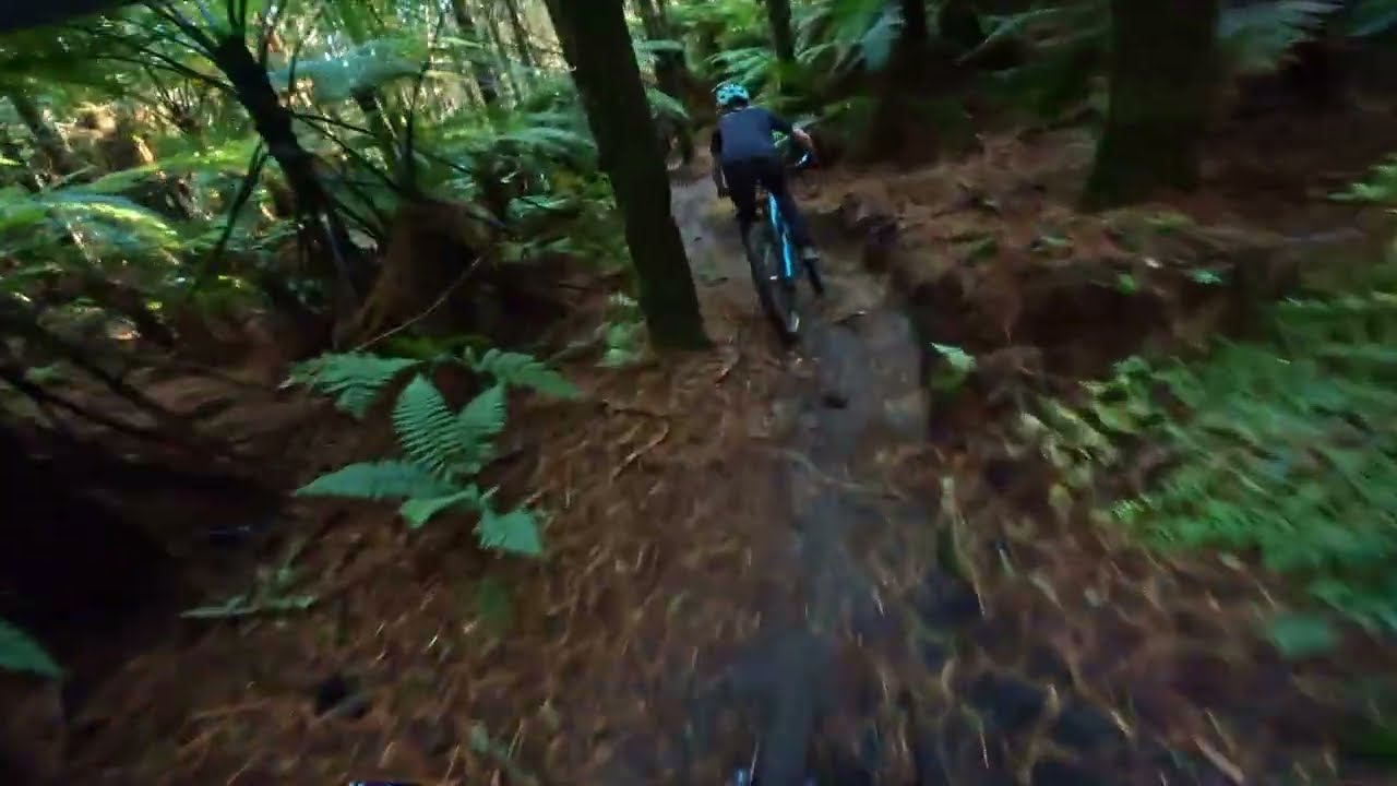 Yeet St @ Whakarewarewa Forest. Rotorua