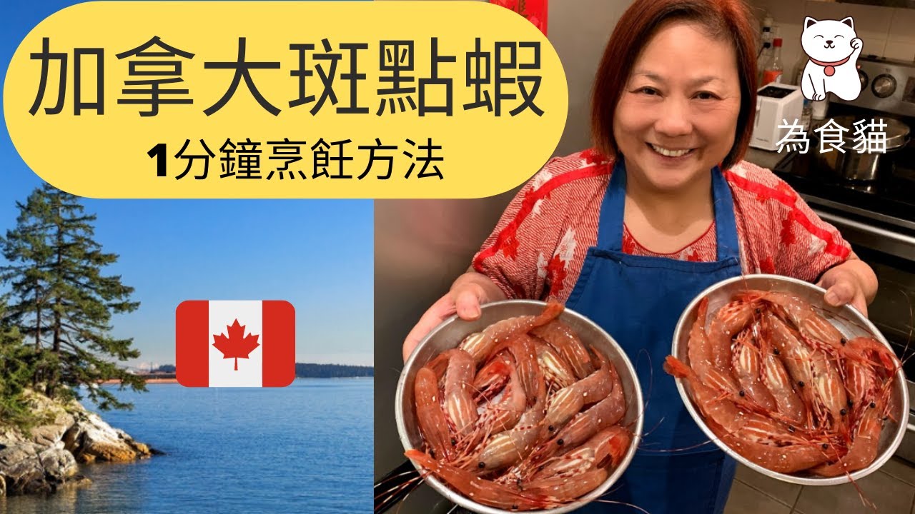 為食貓【加拿大斑點蝦】 1分鐘烹飪方法 - BC Spot Prawns