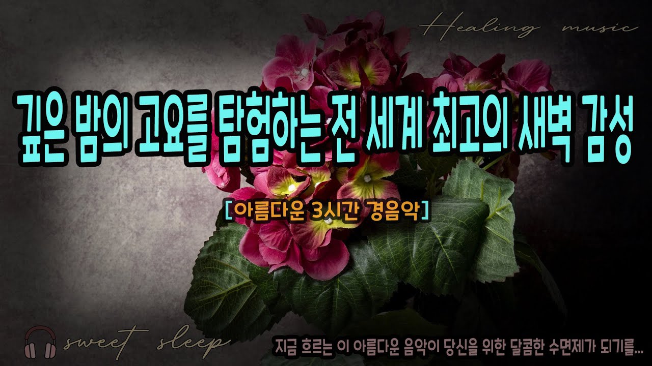 🌑 EP.22 🌑 깊은 밤의 고요를 탐험하는 전 세계 최고의 새벽 감성 — 고요한 안식 [3시간 경음악]