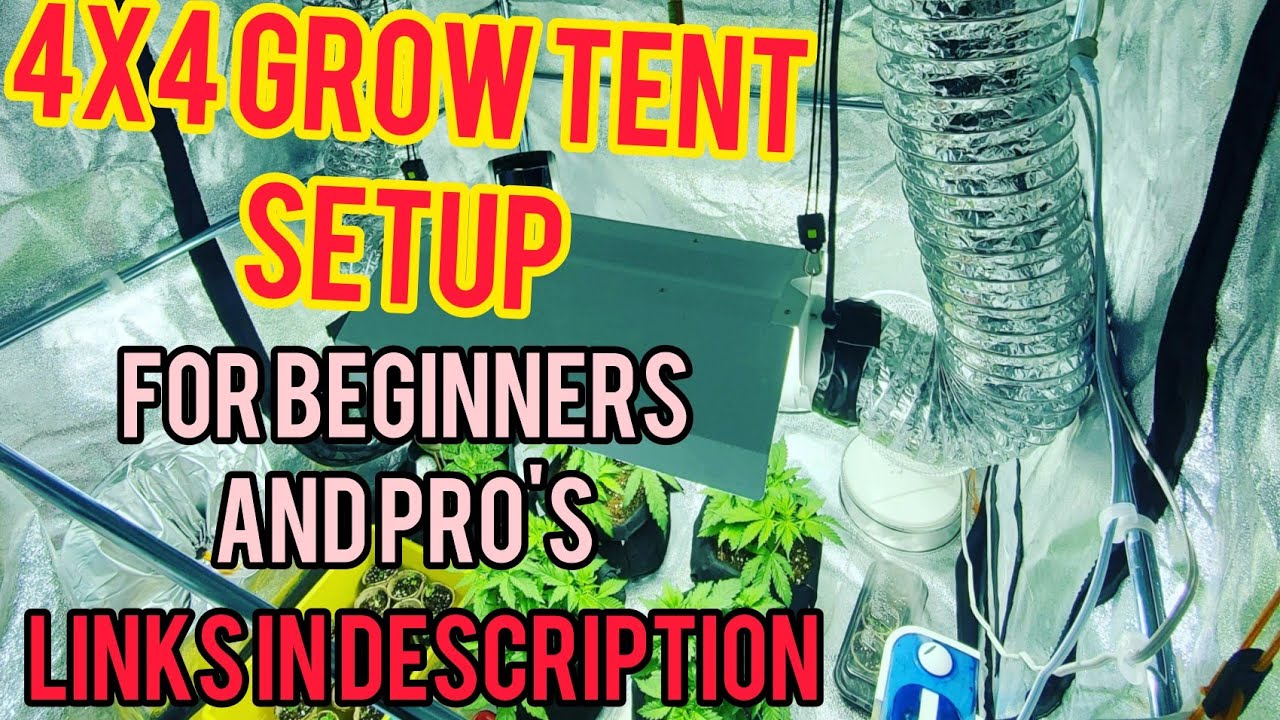 4x4 Grow Tent Setup For Beginners & Pro's