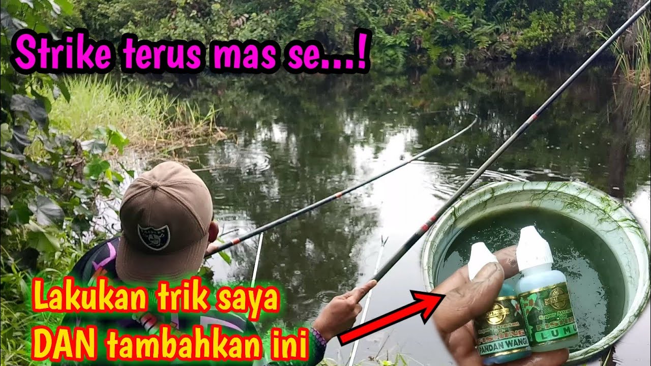 essen mancing nila || trik jitu pengumpul nila liar