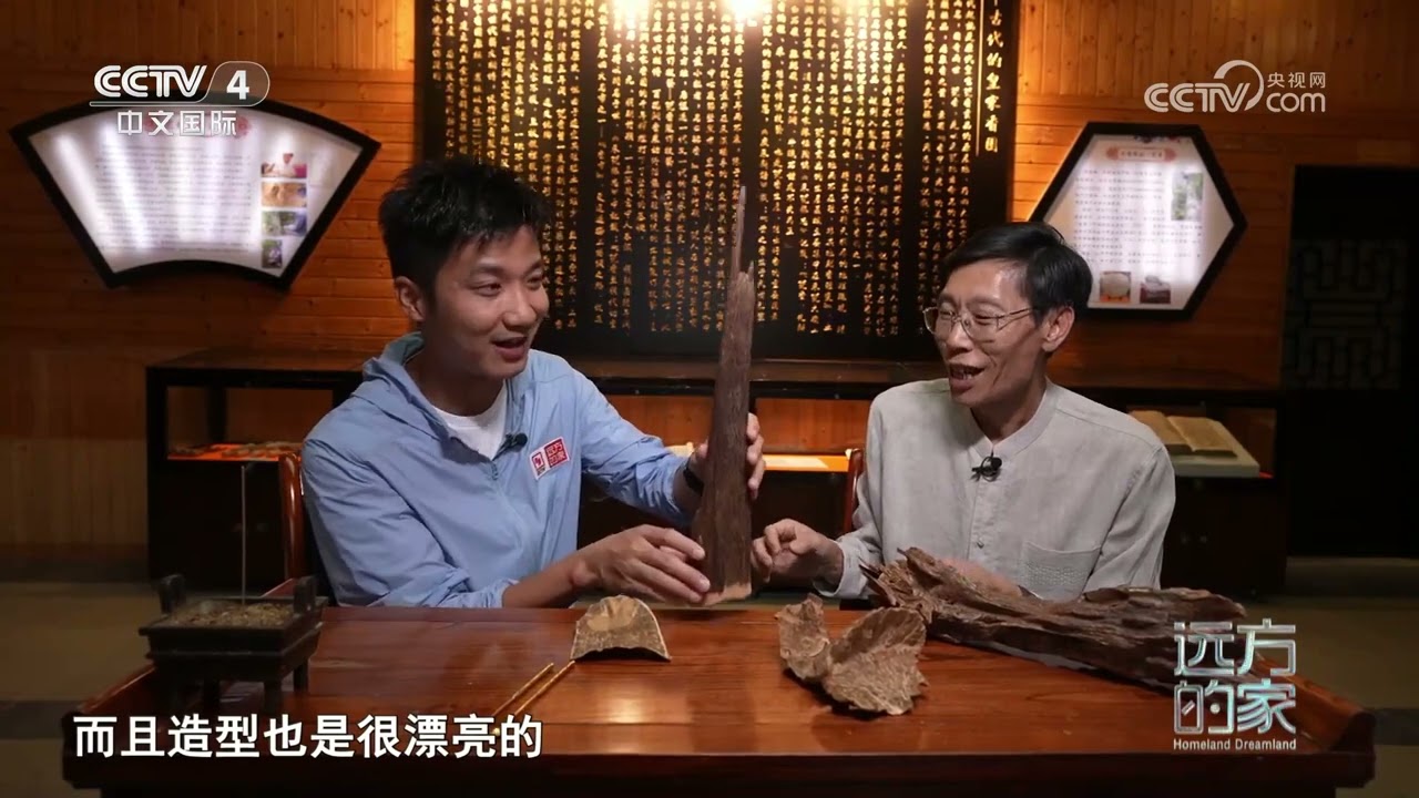《远方的家》 20240109 沿海看中国（42） 广府莞邑 香飘千年|CCTV中文国际