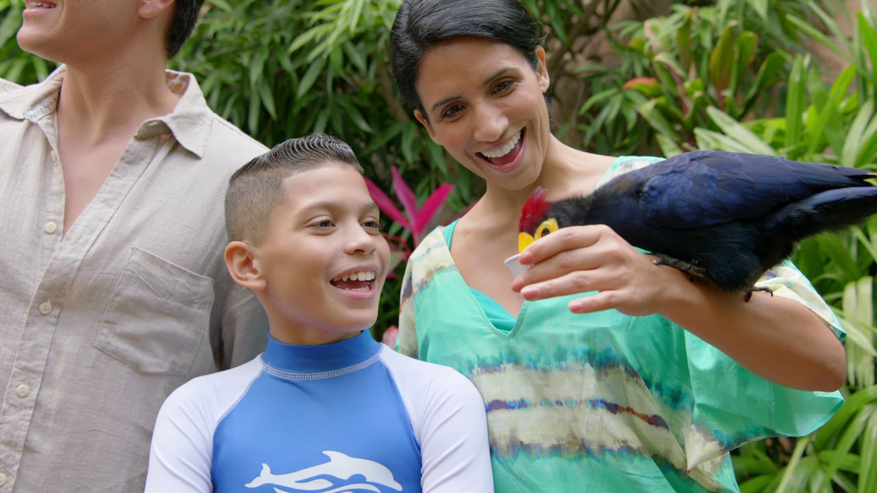 Discovery Cove | SeaWorld Orlando