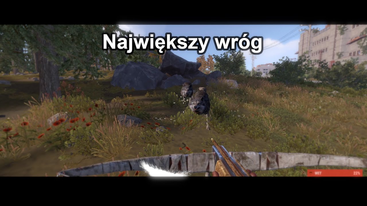 Anielska Cierpliwość | Rust PL