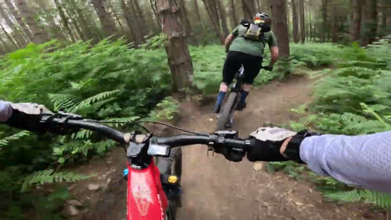 A tad more fun in the woods 😉