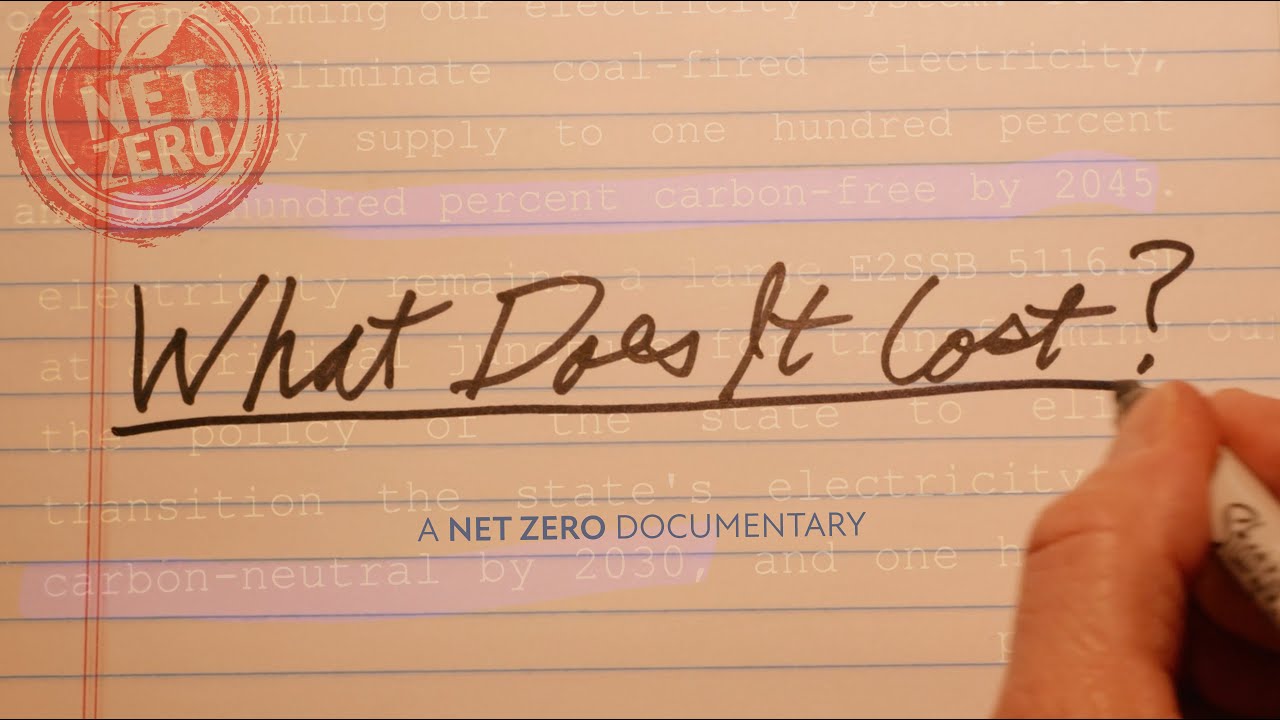 What Does It Cost?  The Consequences of the Net Zero Energy Agenda