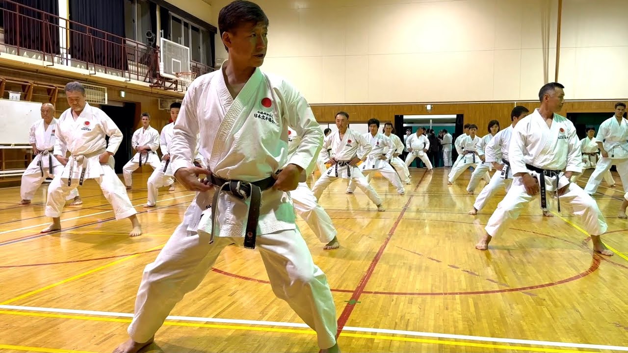 How to Use Your Pelvis and Hips【Naka Tatsuya's Budo Karate】