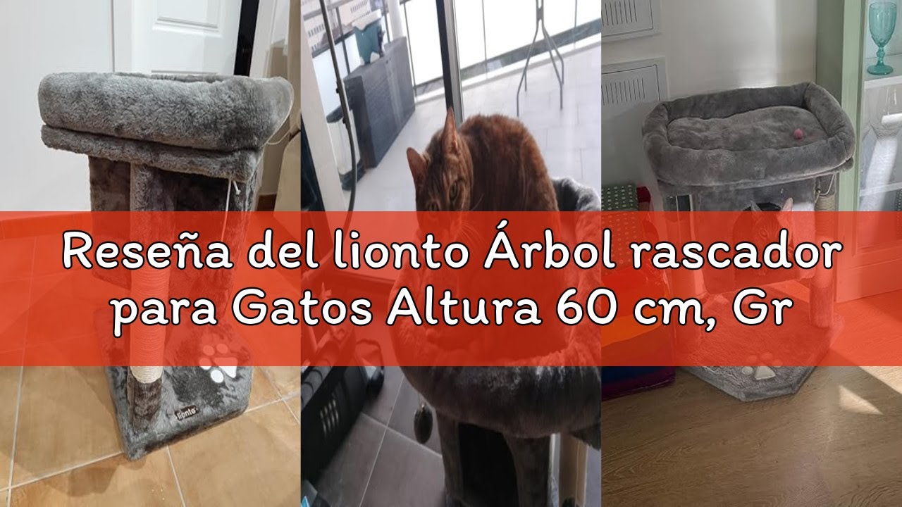 Reseña del lionto Árbol rascador para Gatos Altura 60 cm, Gris Claro