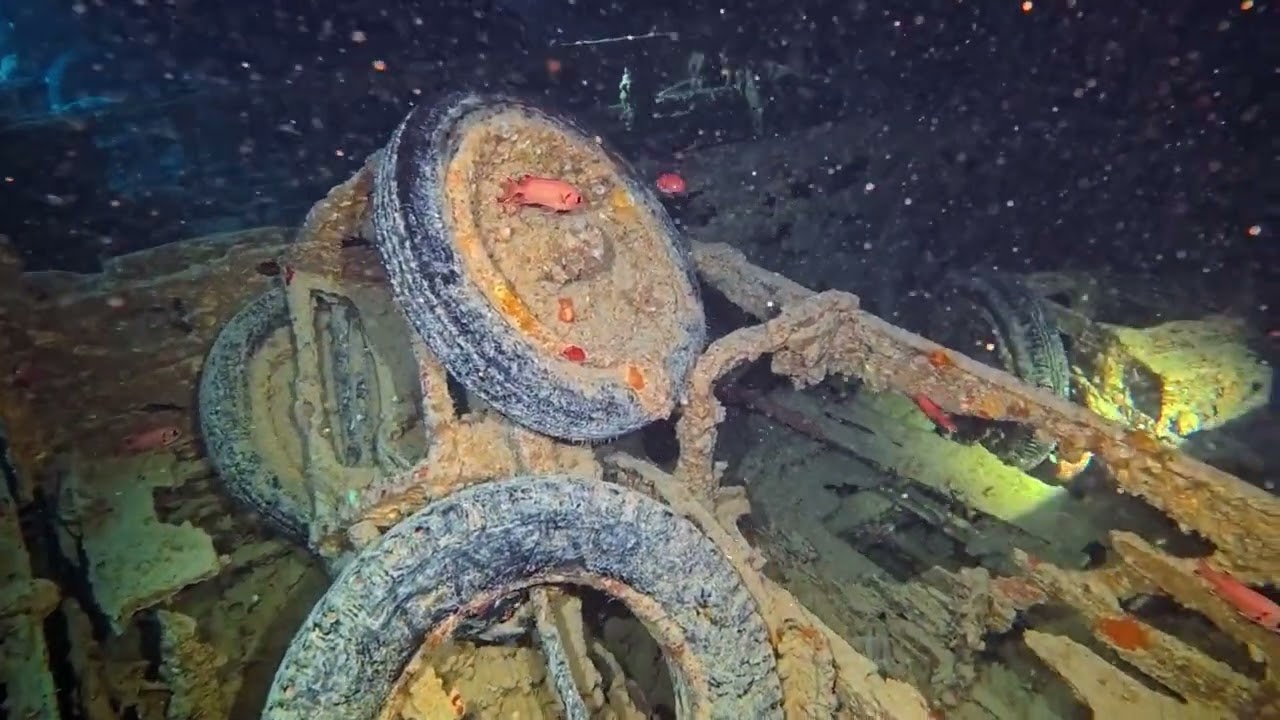 Thistlegorm Afternoon - November 2025