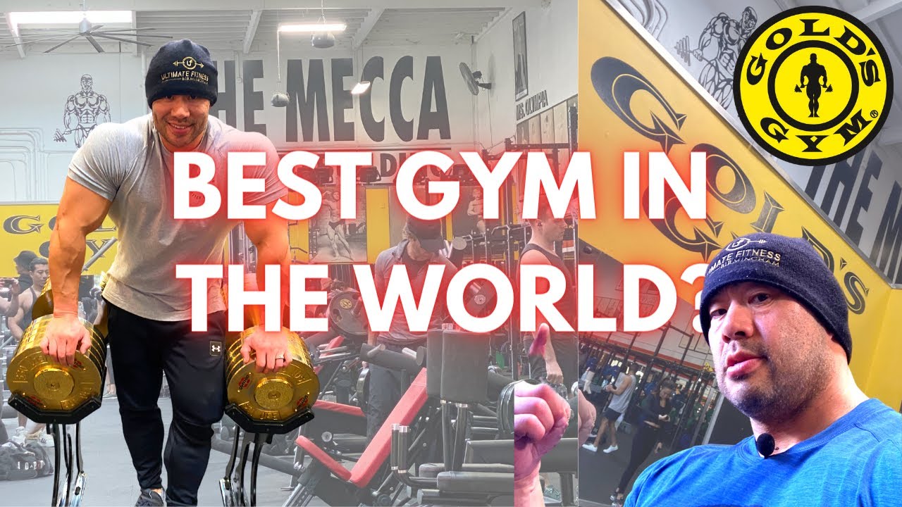 GOLDS GYM VENICE — «МЕККА» ТУРА ПО ТРЕНАЖЕРАМ ДЛЯ БОДИБИЛДИНГА | ЛУЧШАЯ СЕРИЯ ТРЕНАЖЕРОВ