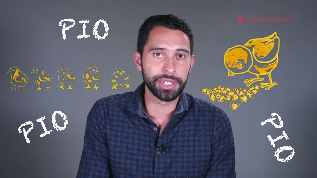Primiparadas en la Universidad: ¡ten cuidado!